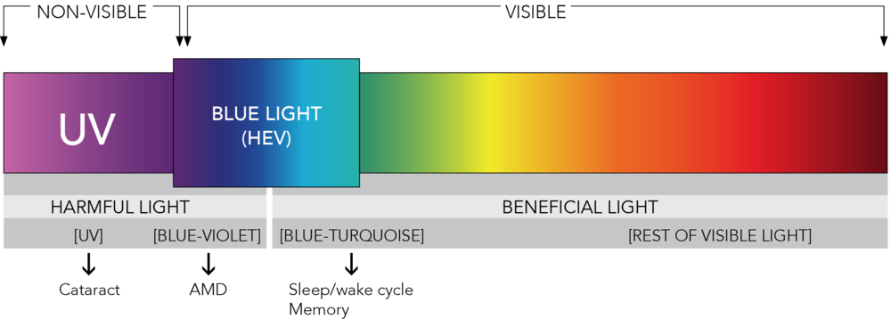 Is Blue Light Bad For Your Eyes?  Transitions Lenses Blue-Violet Light